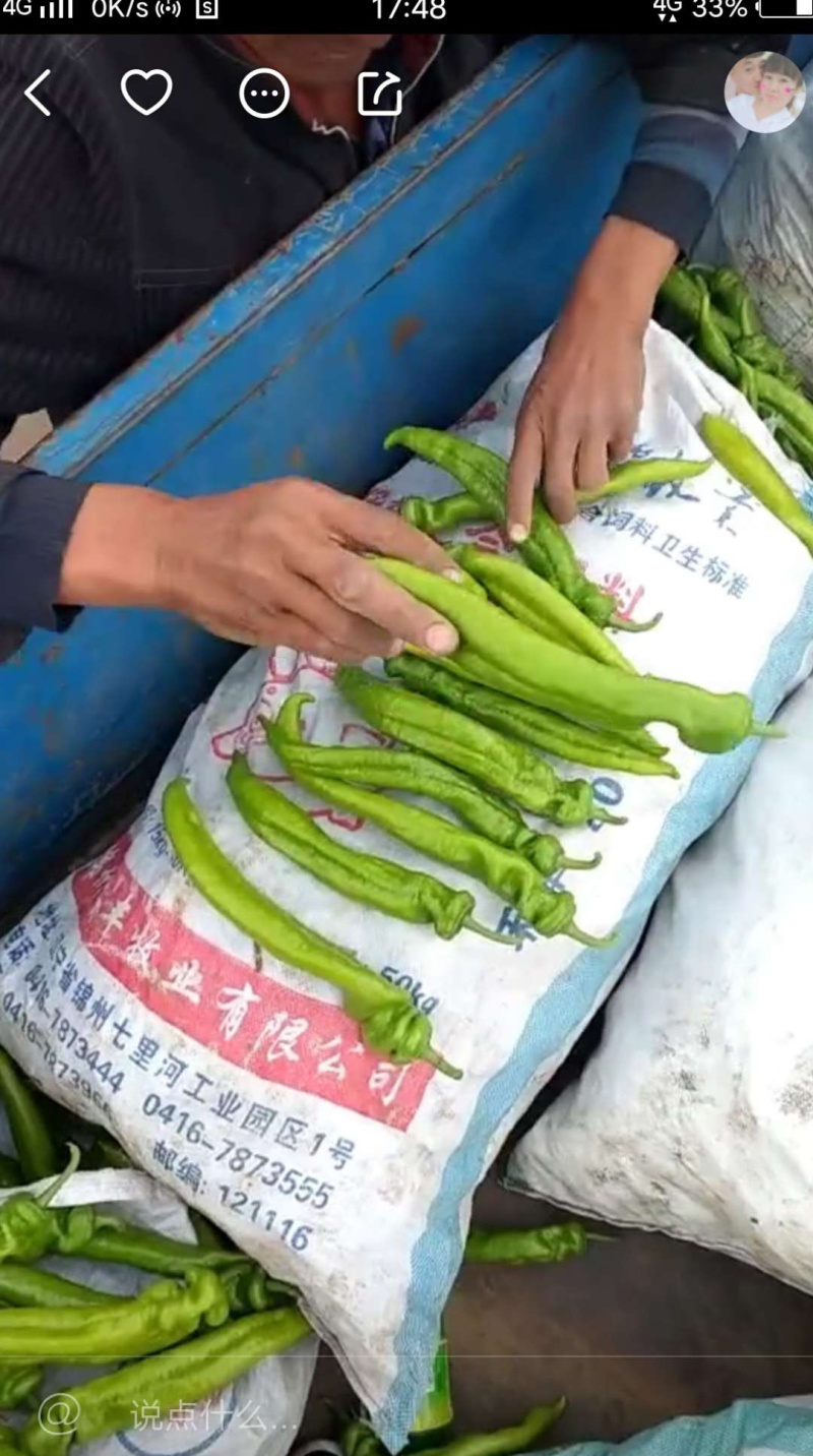 尖椒