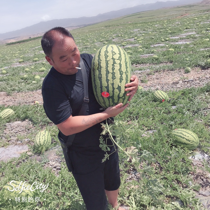 西瓜