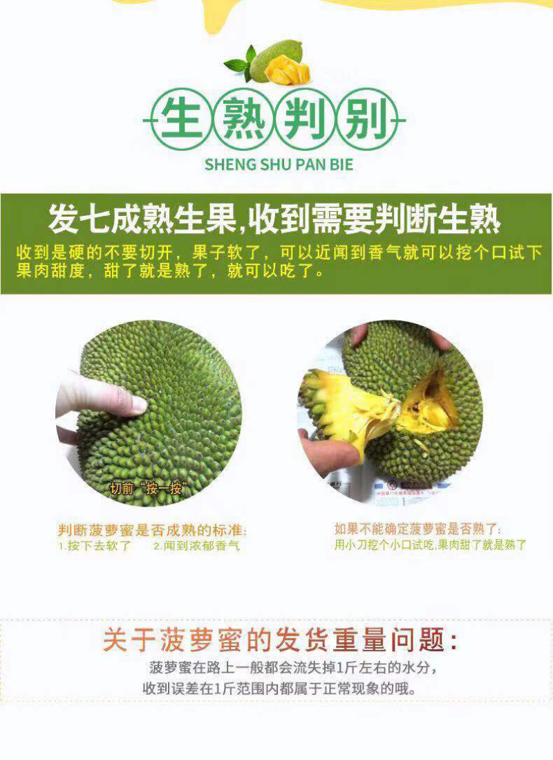 海南菠萝蜜1号黄肉商品一级果合适超市流动摊位拨肉果地直发