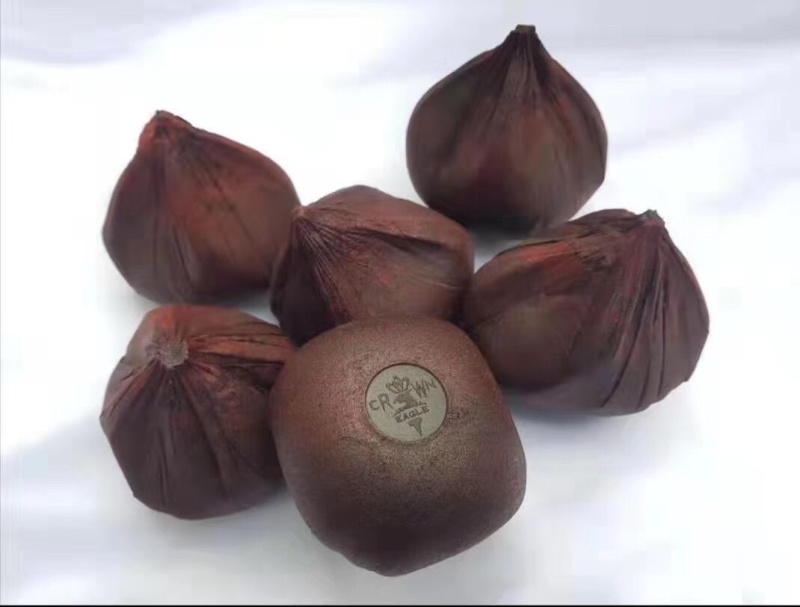 血竭，正品印尼进口皇冠血竭