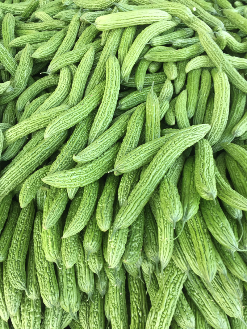 苦瓜