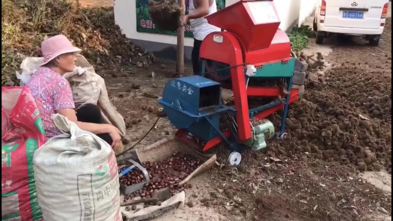 板栗脱壳机，新款板栗去皮机。