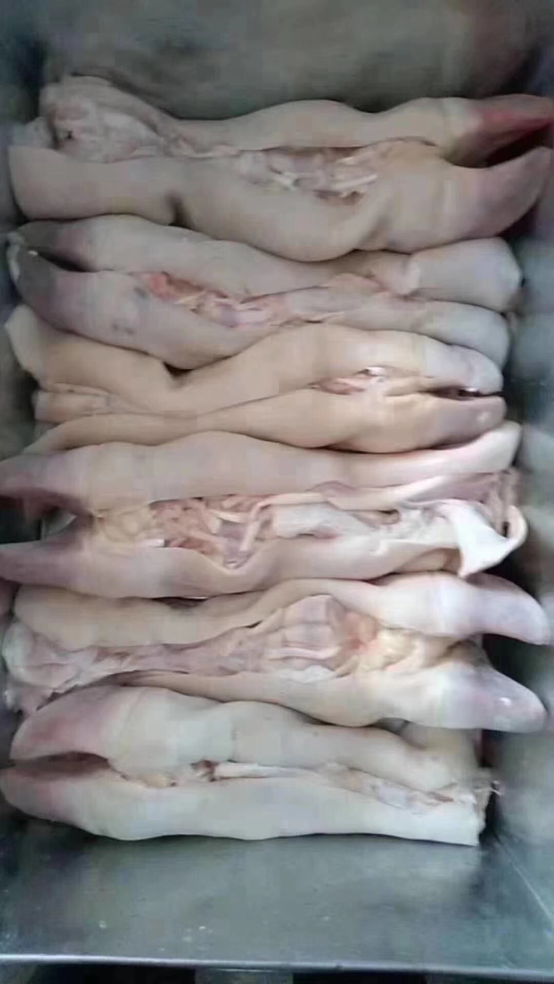 牛蹄筋