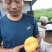 金霞早油盘桃苗地径0.8cm以上高度100cm嫁接成品苗