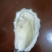 大连生蚝，规格单只2两起步的