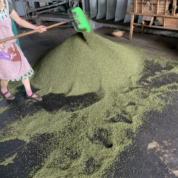 云南青花椒