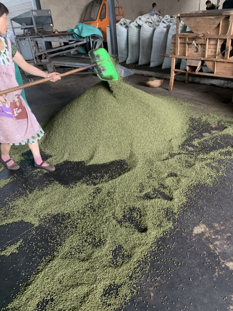 云南青花椒