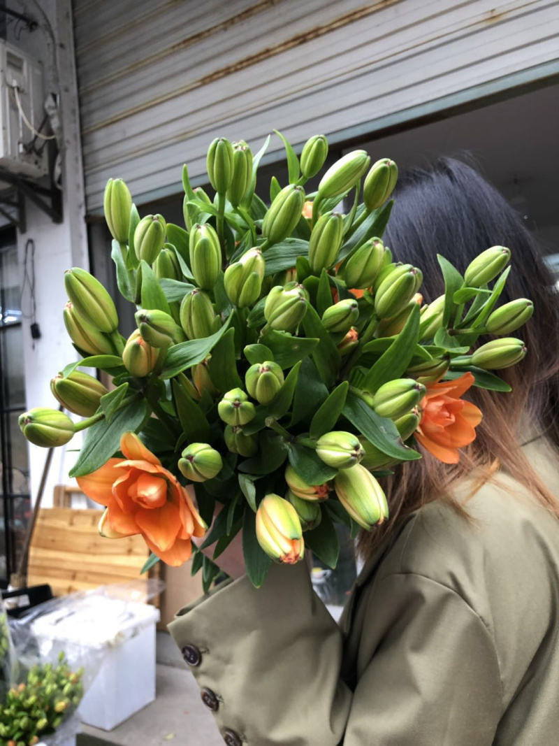 小蜜蜂百合种球品质保证的百合种球，较小的花型优雅大方