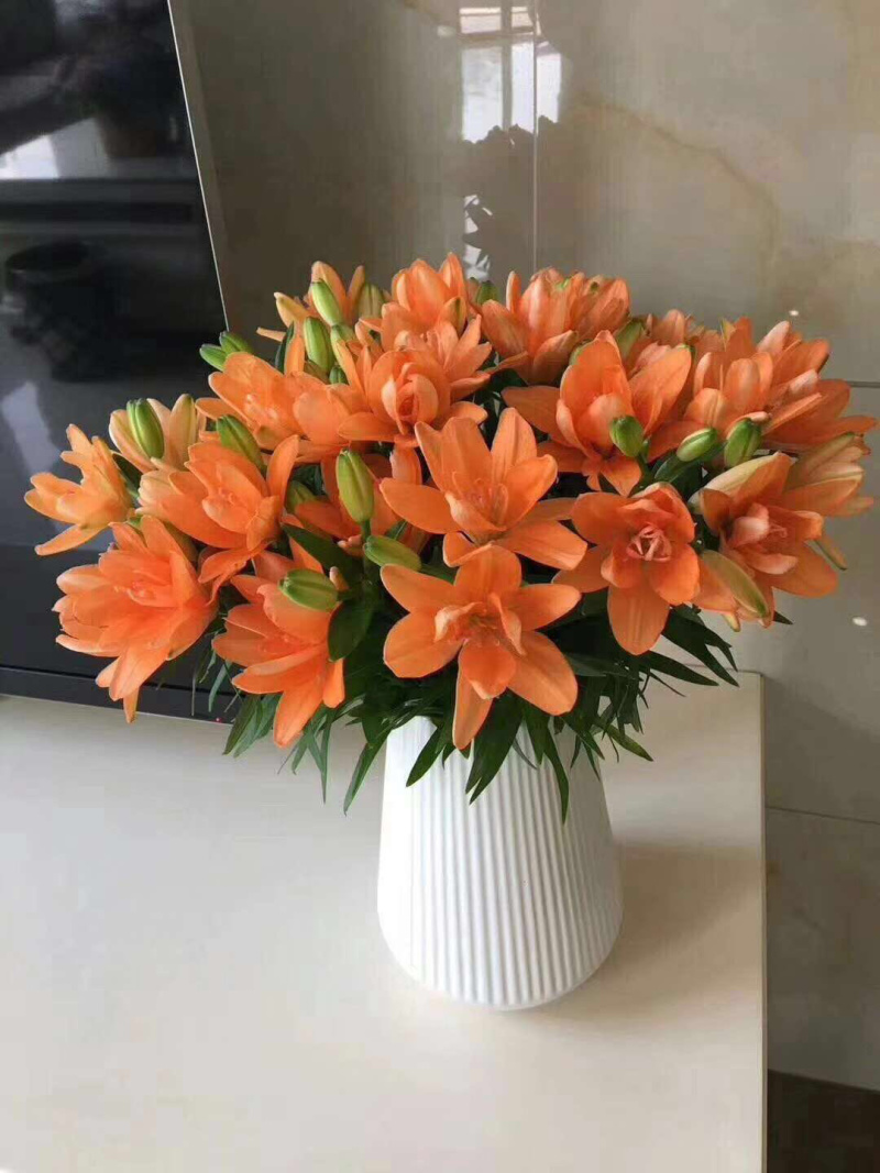 小蜜蜂百合种球品质保证的百合种球，较小的花型优雅大方