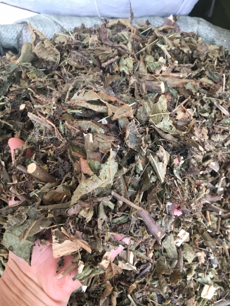 路边青路边青路边青中药材批发零售