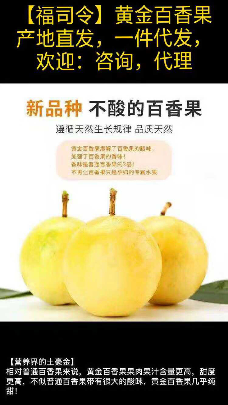 黄金百香果