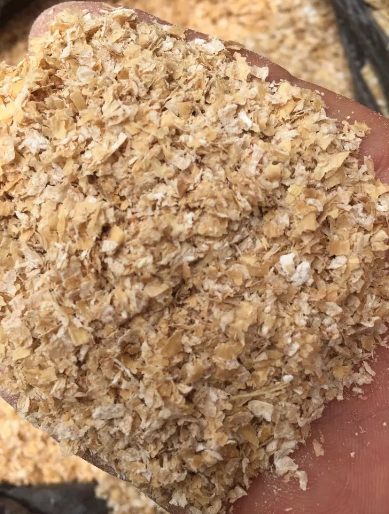 麸皮，大片，含粉
