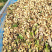 【精选特卖】小白沙鲜花生颗粒饱满过筛可供超市市场