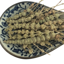 【舜波中药材】荆芥穗量大从优