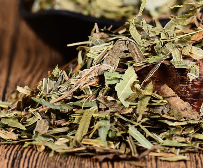 【凤尾草】凤尾草量大从优物美价廉产地直供