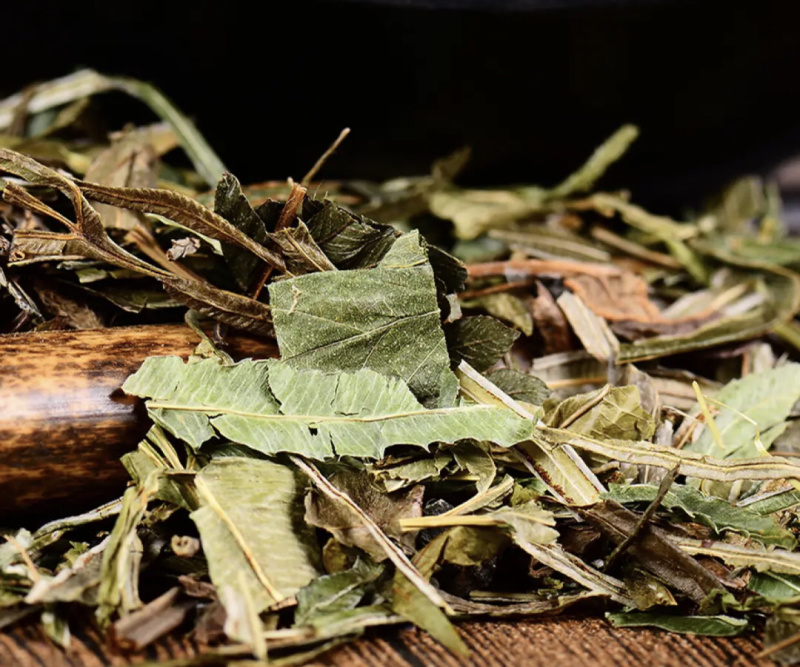 【凤尾草】凤尾草量大从优物美价廉产地直供