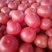 露地西红柿