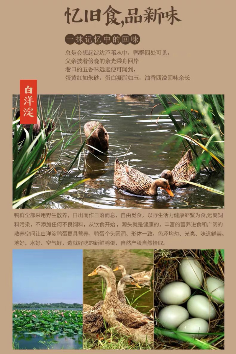 一手货源！白洋淀野生烤鸭蛋