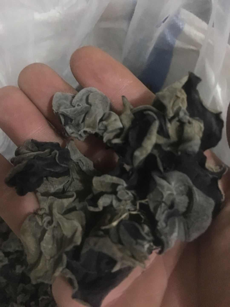 康惠商行东北黑木耳一级秋耳肉厚无根