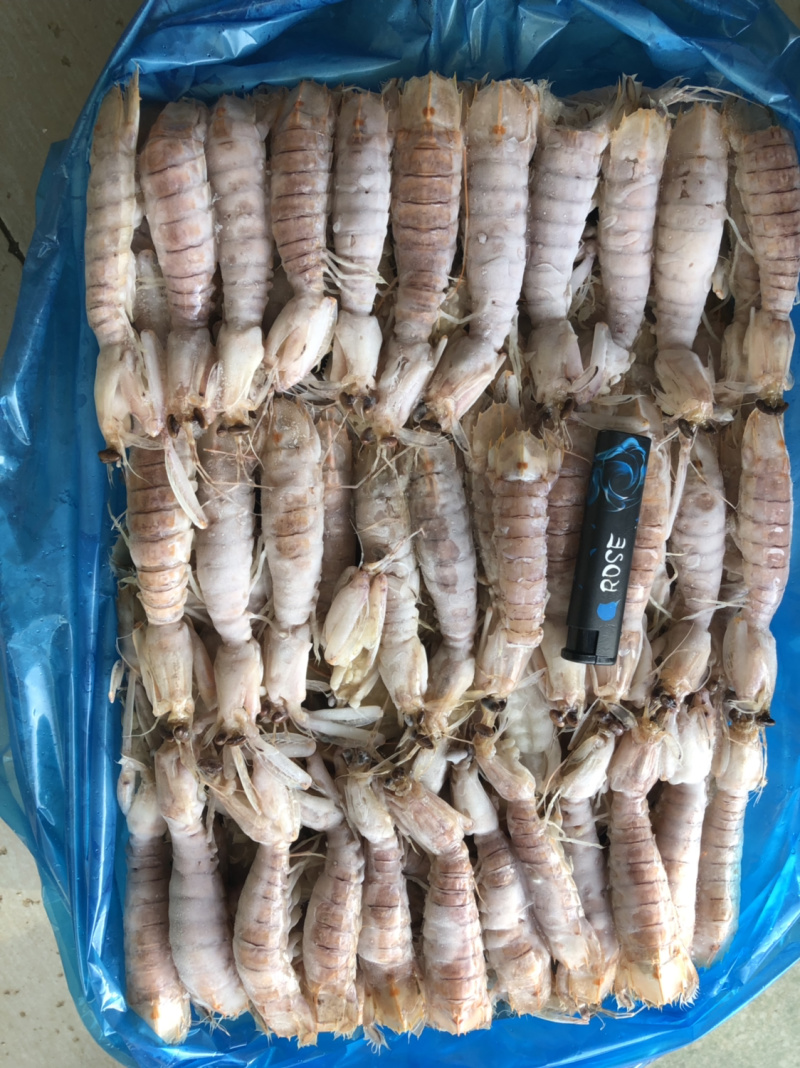 活煮熟冻皮皮虾-条条满肉虾