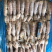 活煮熟冻皮皮虾-条条满肉虾