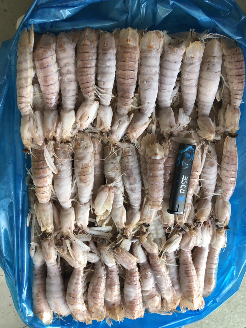 活煮熟冻皮皮虾-条条满肉虾