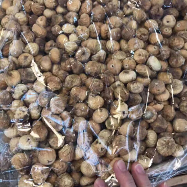 无花果，大号小号一样价