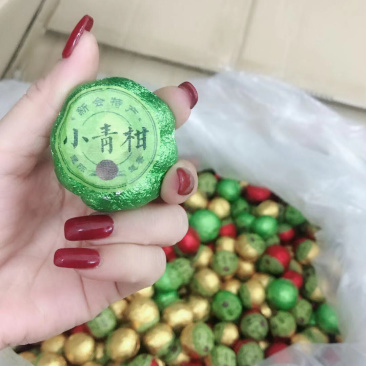 小青柑普洱茶（两斤起批）