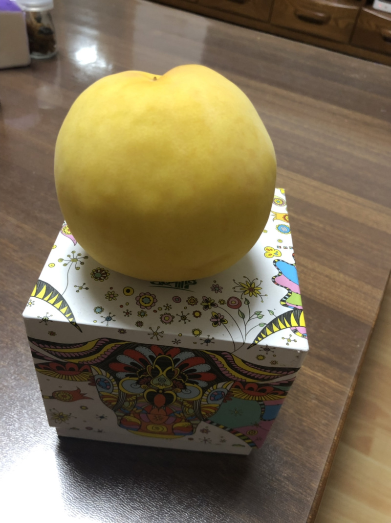 锦绣黄桃（己套袋）有机种机