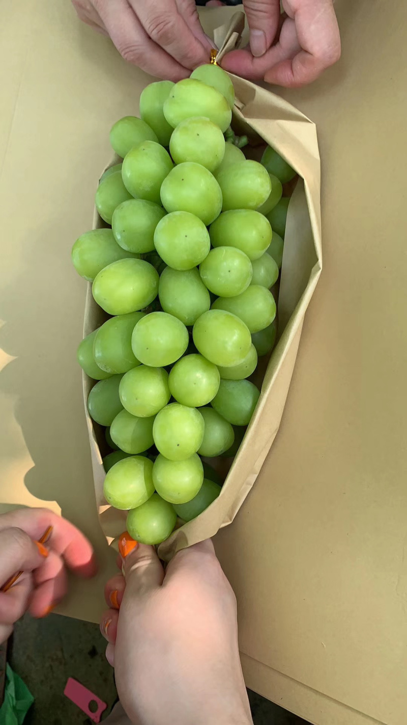河北省衡水饶阳青提，维多利亚电商平台，市场，超市欢迎对接