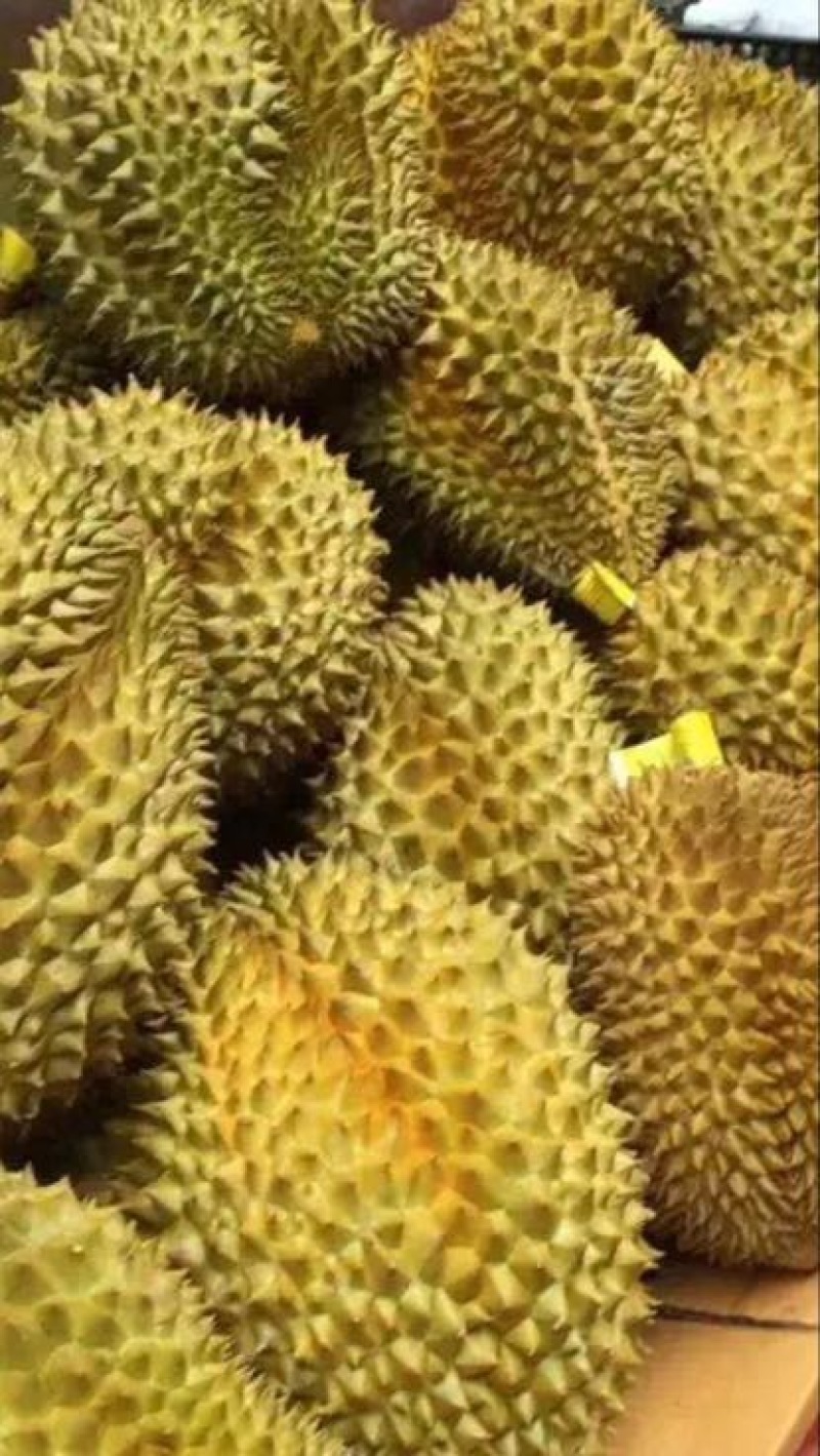 榴莲