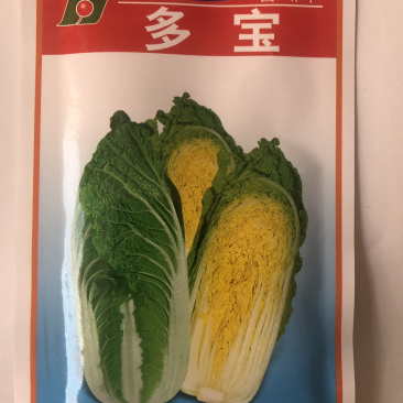 白菜种子娃娃菜极早熟黄芯娃娃菜50天上市