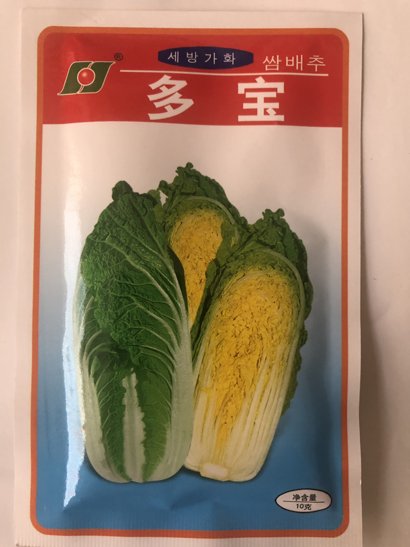 白菜种子娃娃菜极早熟黄芯娃娃菜50天上市