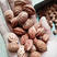 毛桃树种子桃树种子年新货出售.出芽率95%以上
