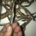 鱼干淡水小鱼干小河鱼
