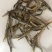 鱼干淡水小鱼干小河鱼
