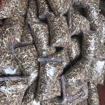 香菇丝