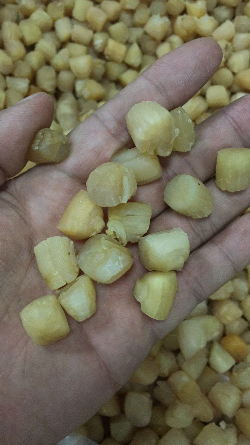 280头大连干贝，一手货源