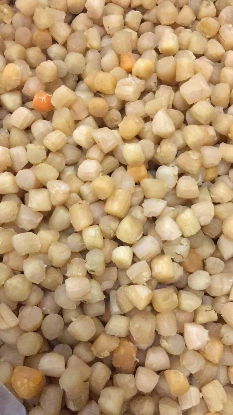 280头大连干贝，一手货源