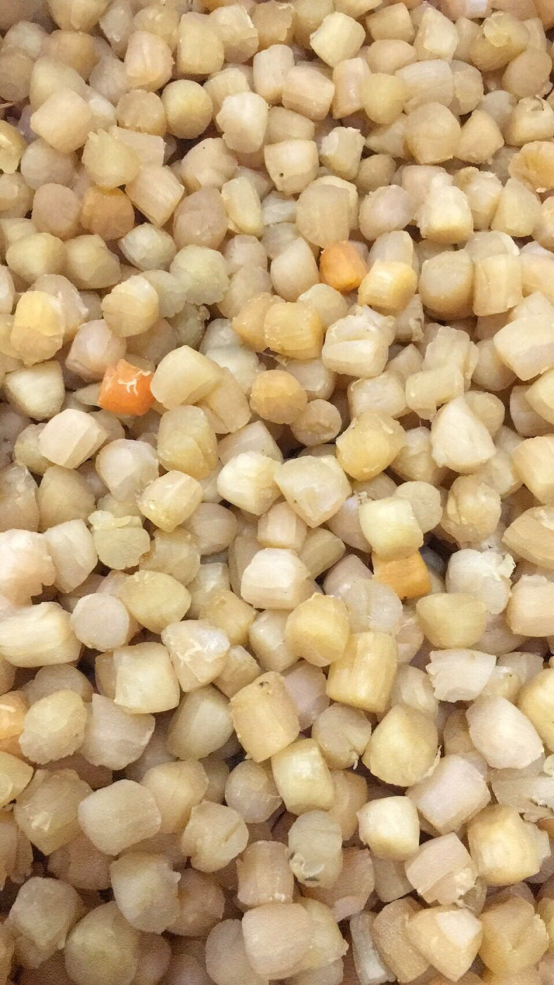 280头大连干贝，一手货源