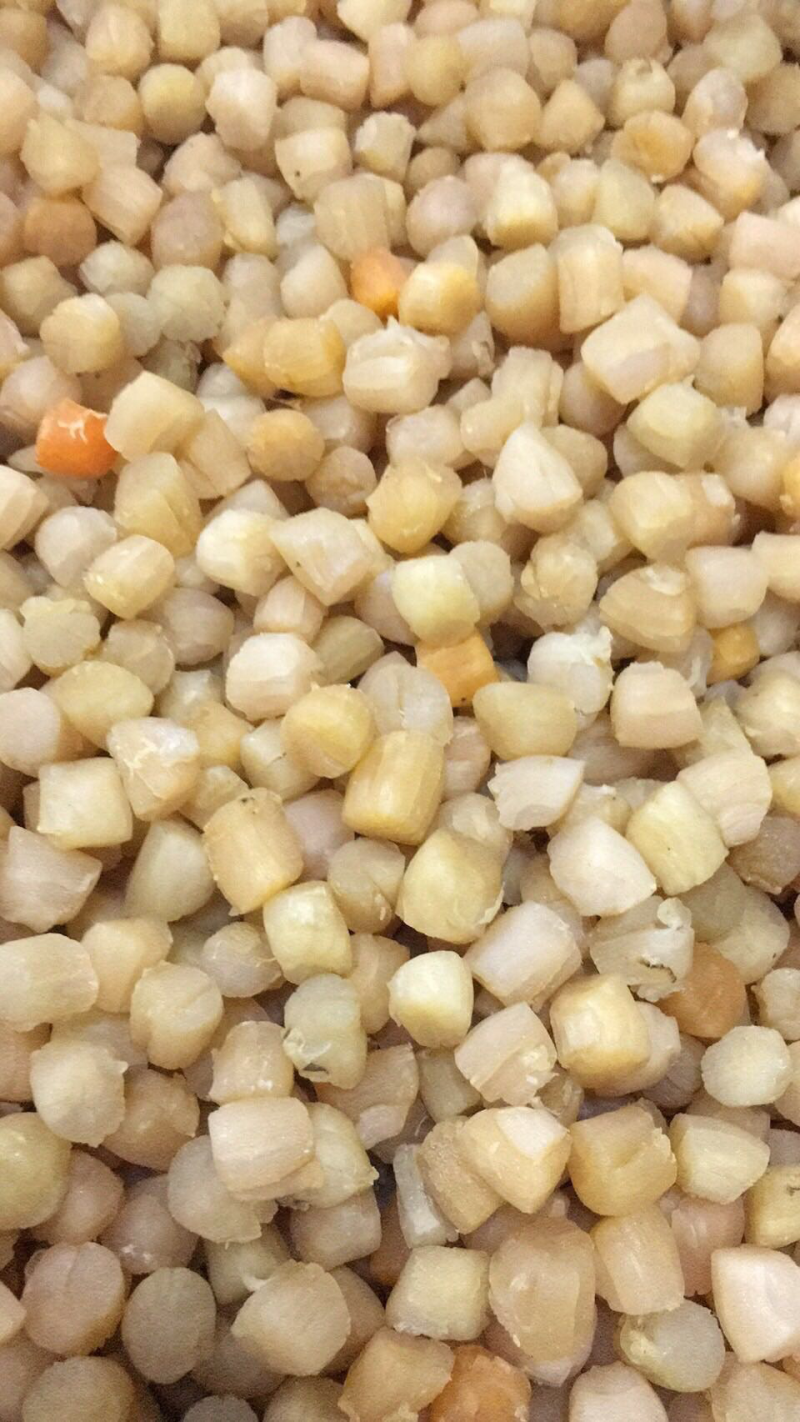 280头大连干贝，一手货源
