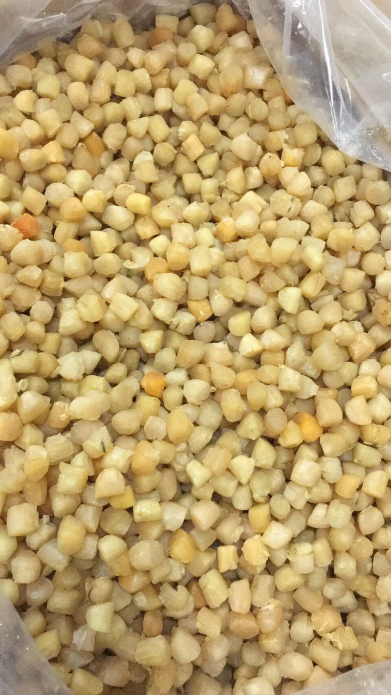 280头大连干贝，一手货源