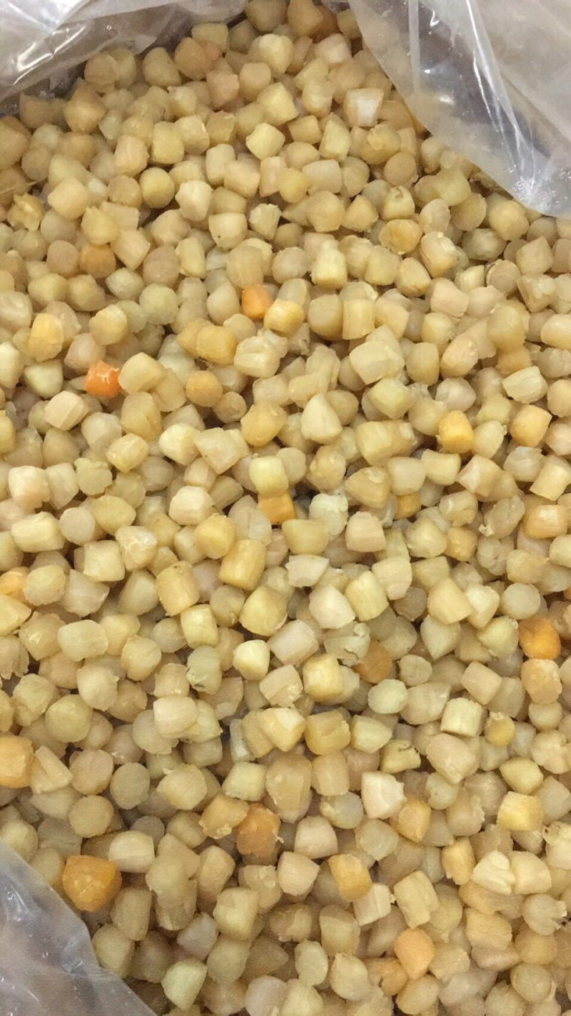280头大连干贝，一手货源