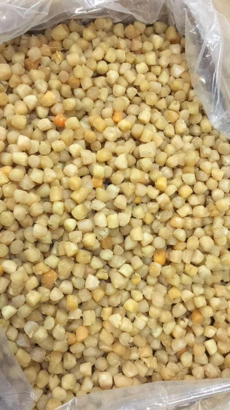 280头大连干贝，一手货源