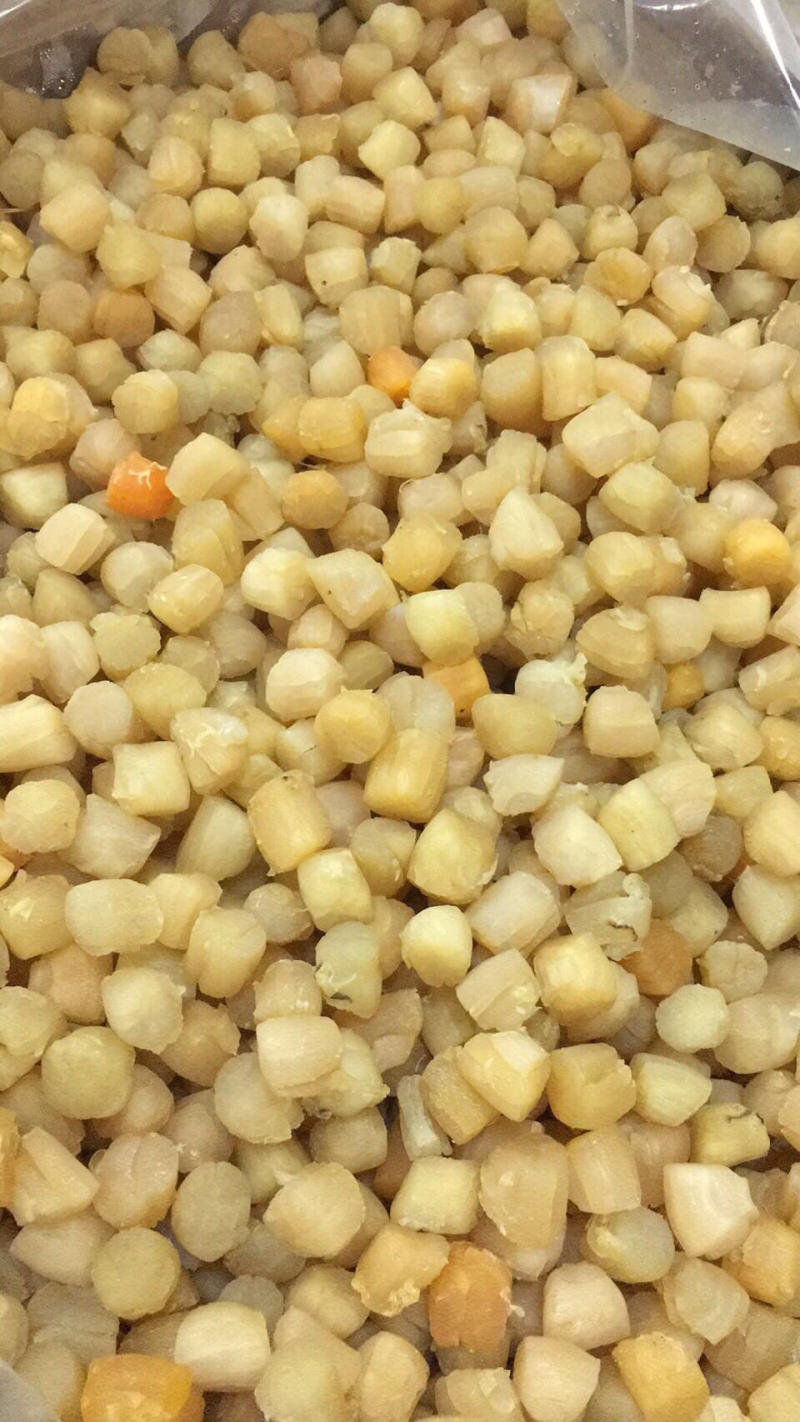 280头大连干贝，一手货源
