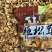 【牛商】姬松茸干货云南特产食用菌新店特价冲销量