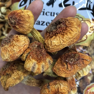 【牛商】姬松茸干货云南特产食用菌新店特价冲销量