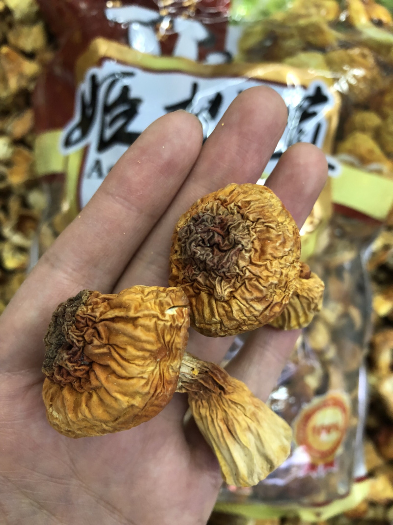 【牛商】姬松茸干货云南特产食用菌新店特价冲销量