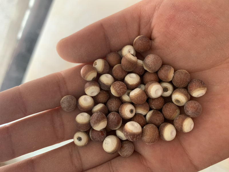 圆个芡实米，批发芡实米大货，各种规格，量大从优