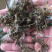 蜻蜓中药批发冷背药材兽用原料粉兽用中药